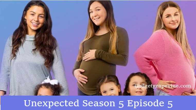 Unexpected Season 5 Episode 5
