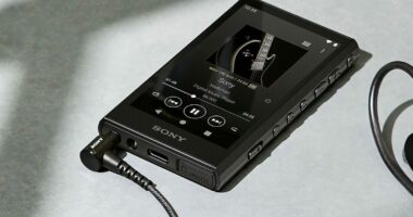 Sony NW-A306 Walkman Launched in India; Check out the Details!