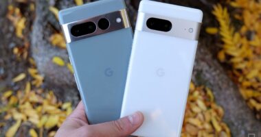 Google Pixel 7 Phones Are Less Expensive than Ever Right Now.