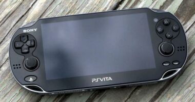 It's About Time for A New Sony Handheld, But Screw Remote Play