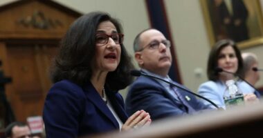 Columbia University Senate Demands Investigation into School Leadership