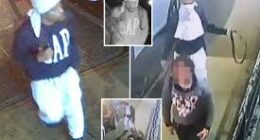 NYPD Releases Images of Suspect in Brutal Bronx Rape Case
