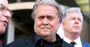 Steve Bannon Asks Appeals Court to Let Him Stay Out of Prison While Fighting Contempt of Congress Conviction