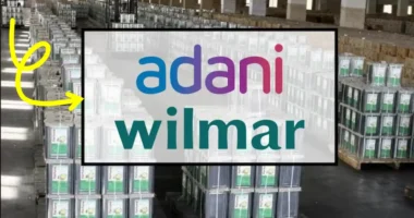 Adani Wilmar Share Sale